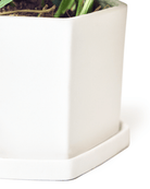 Close-up of the Chive Hexi small white porcelain pot showing the color and matte finish.