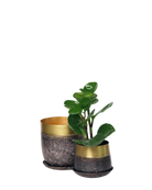 Chive Joe brown and gold metal planters in two sizes, smaller styled with a round-leaf plant.