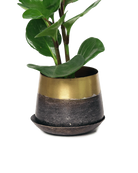Chive Joe small brown gold color metal plant pot with drainage and saucer styled with a plant.