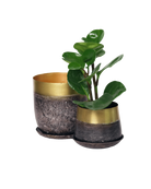 Two Chive Joe brown gold color metal plant pots with styled with a green plant.