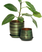 Two Chive Joe fern green brown color metal plant pots with styled with a green plant.