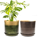 Two Chive large Joe metal pots with drainage and saucers in forest gold and bronzed brown, styled with a monstera plant.