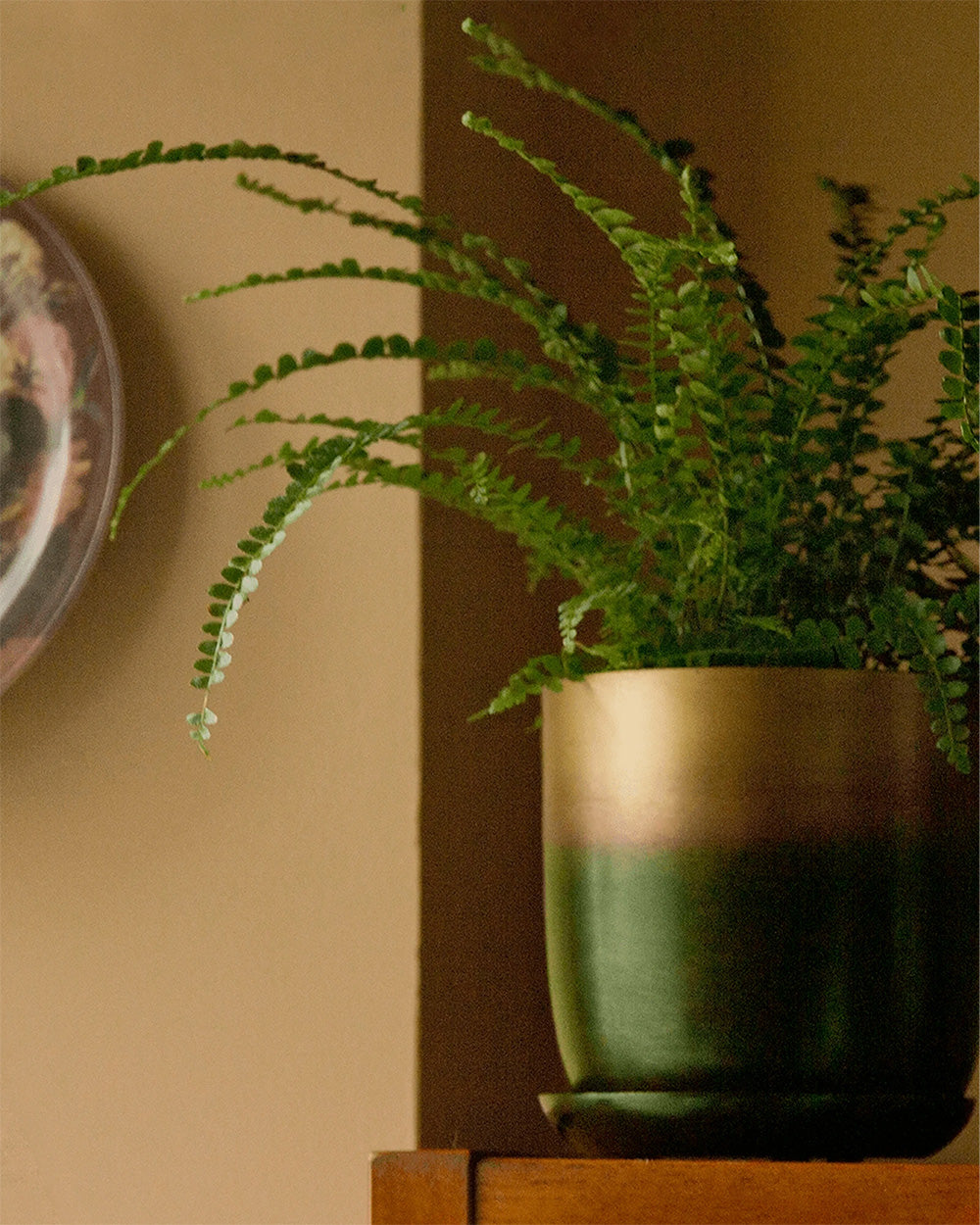 Chive Joe forest gold metal pots styled with a plant on a wood shelf in a home setting.