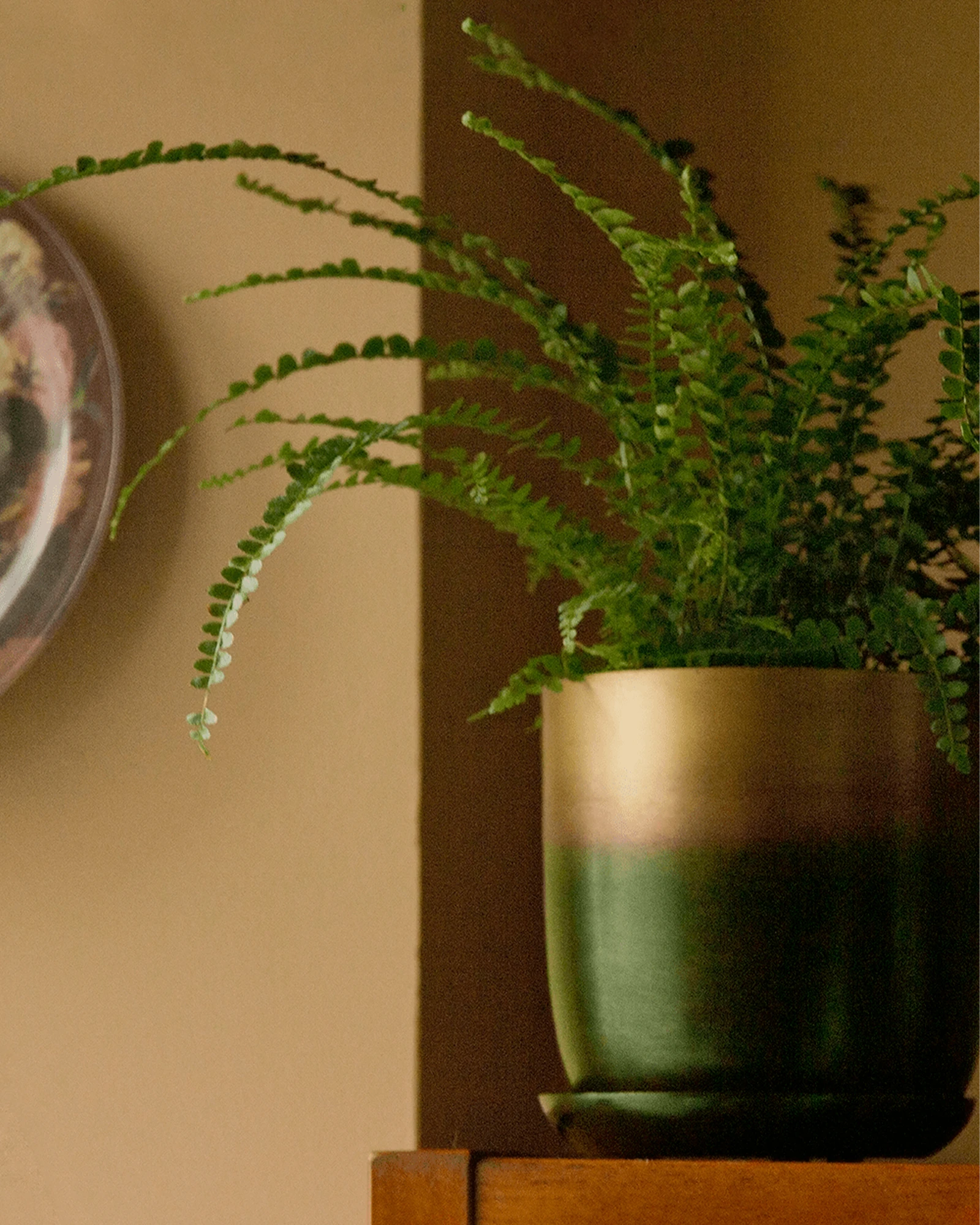 Chive Joe forest gold metal pots styled with a plant on a wood shelf in a home setting.