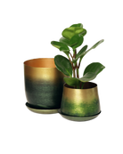 Two Chive Joe forest green gold color metal plant pots with styled with a green plant.