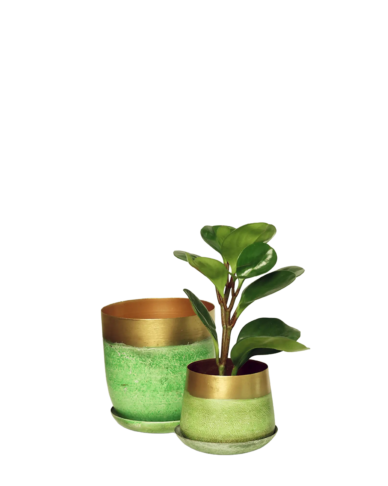 Chive Joe green gold metal medium and small planters with drainage hole and detachable saucer styled with a plant.