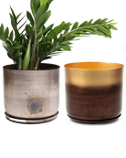 Two Chive Joe large metal plant pots in mahogany gold and silver color styled with a large zz plant.