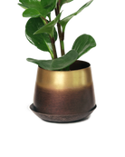 Chive Joe small mahogany gold metal plant pot with drainage and saucer styled with a plant.