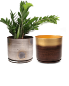 Two Chive Joe large metal pots with drainage and detachable saucers in silver and mahogany gold, styled with a zz plant.