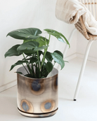 Chive Joe large silver metal pot styled with a monstera plant in a bright white minimalistic room.