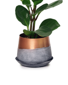 Chive Joe small white copper color metal plant pot with drainage and saucer styled with a plant.