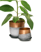 Two Chive Joe white copper color metal plant pots with styled with a green plant.
