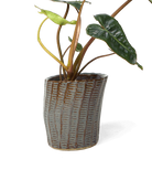 Chive Katakana brown ceramic textured planter pot styled with a plant.