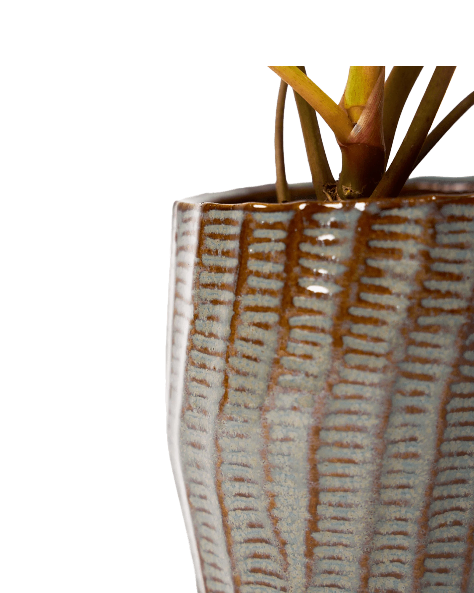 Close-up of the glaze color and textured finish on a Chive Katakana brown ceramic pot.