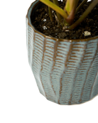 Close-up of the vertical ribbed texture finish on a Chive Katakana brown ceramic pot.