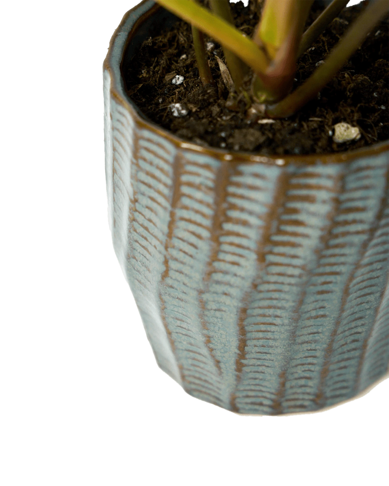 Close-up of the vertical ribbed texture finish on a Chive Katakana brown ceramic pot.
