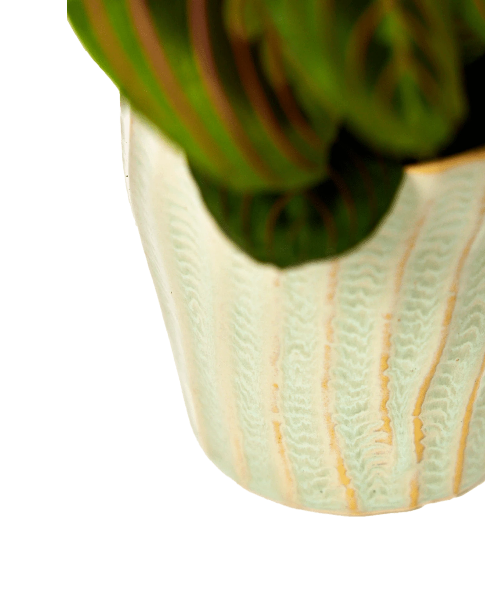 Close-up of the glaze color and textured finish on a Chive Katakana green ceramic pot.