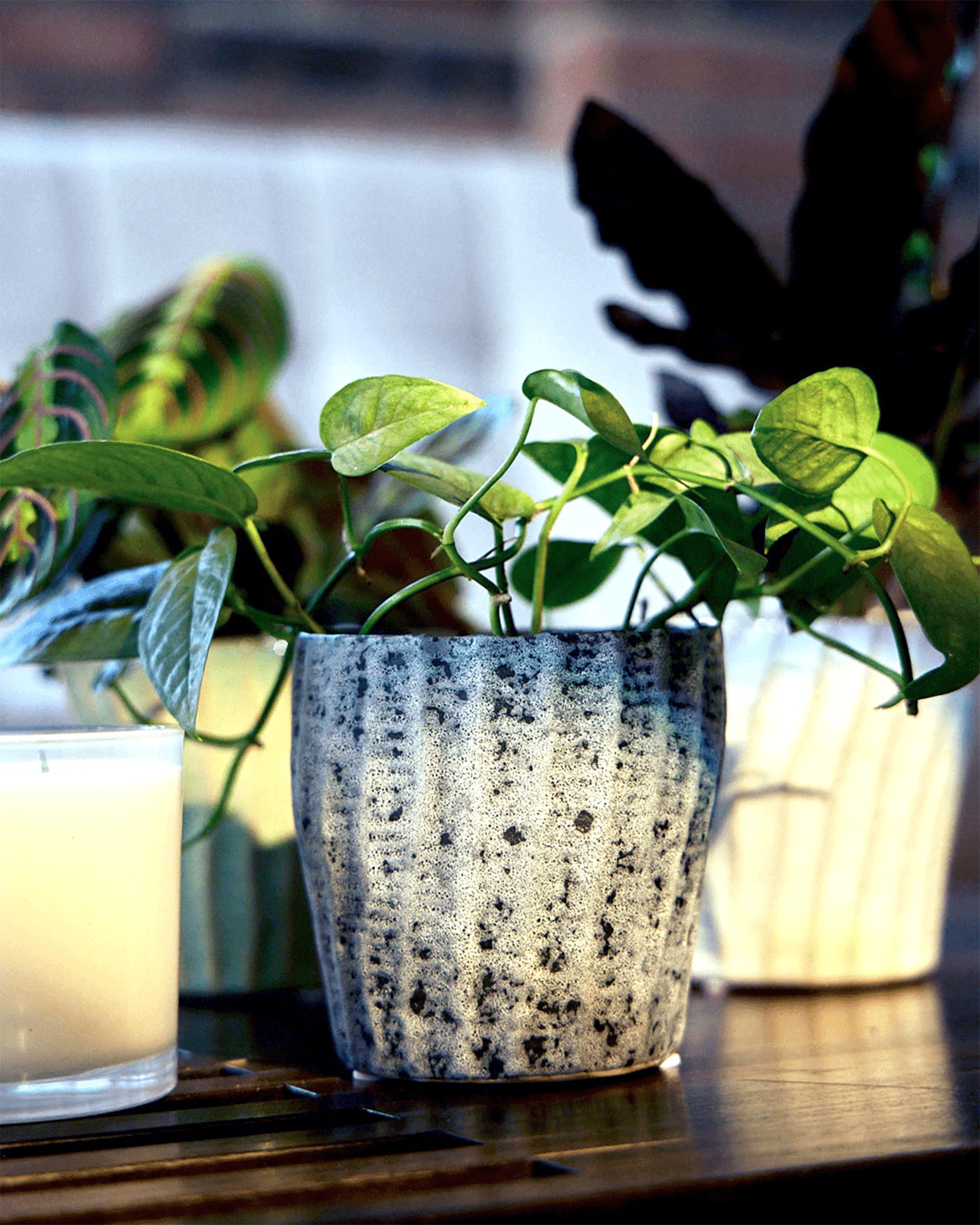 Multiple Chive Katakana ceramic planter pots styled with plants on a wood table.