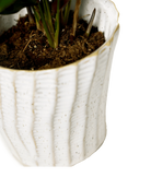 Close-up of the vertical ribbed texture finish on a Chive Katakana white ceramic pot.