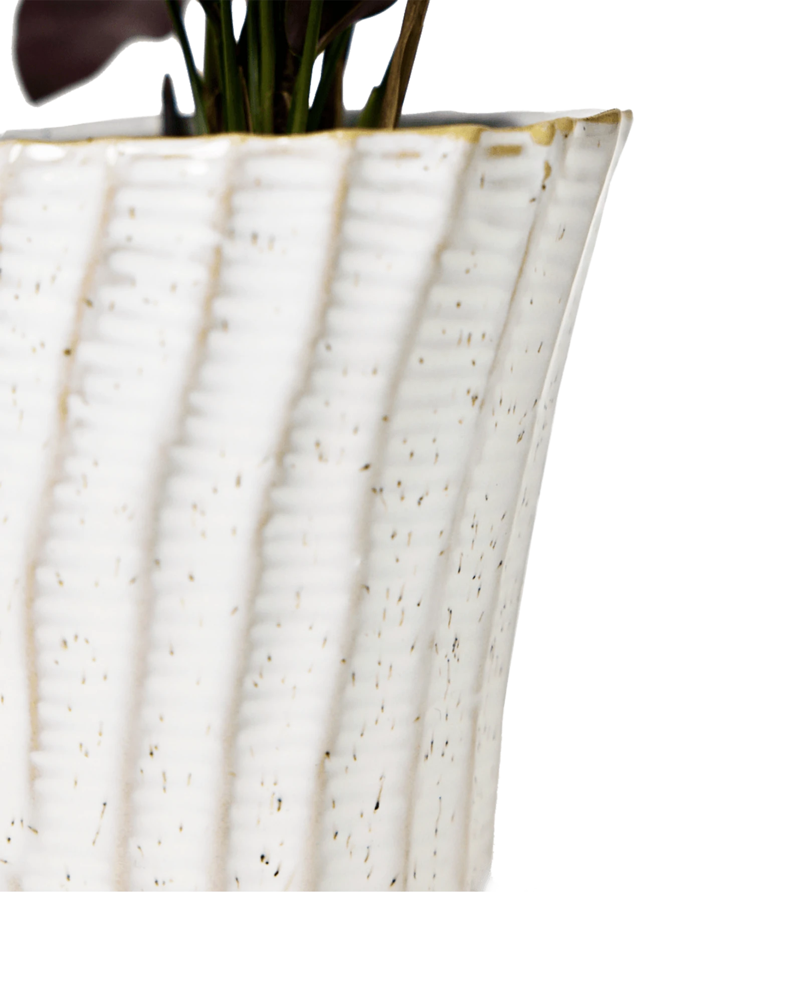 Close-up of the color and vertical ribbed texture finish on a Chive Katakana white ceramic pot.