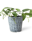Chive Katakana white-black textured ceramic planter pot styled with a plant.