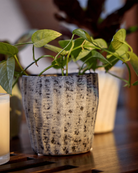 Chive Katakana textured ceramic planter pots in white black styled with plants on a wood table. 