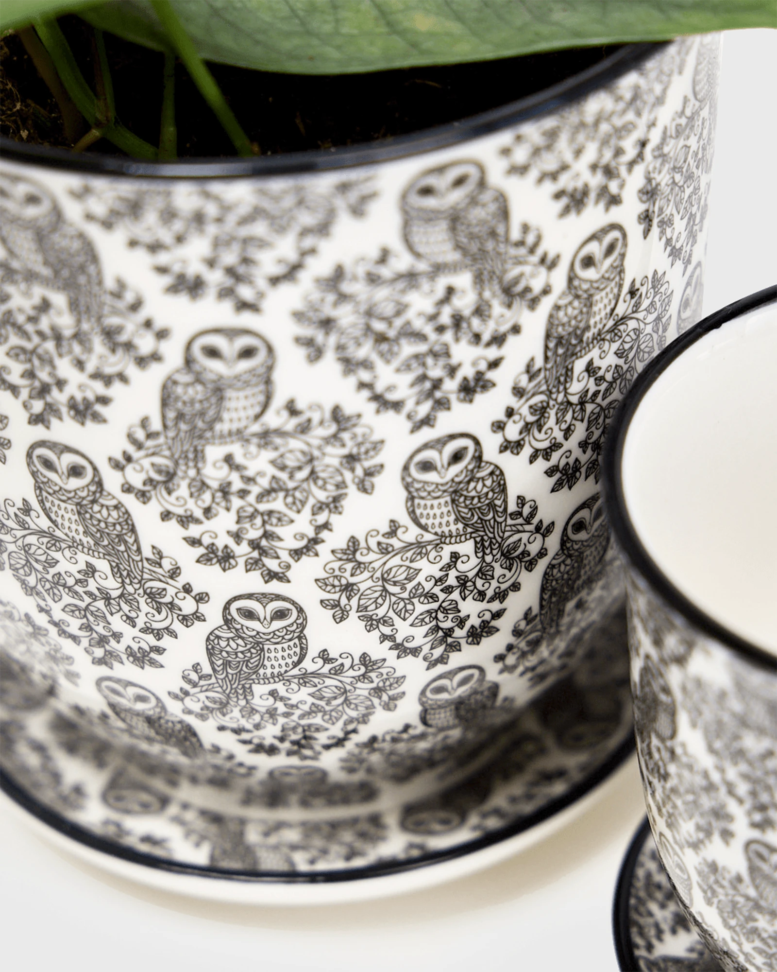 Close-up of two Chive Liberte black owls porcelain pots showing the pattern and glaze finish.
