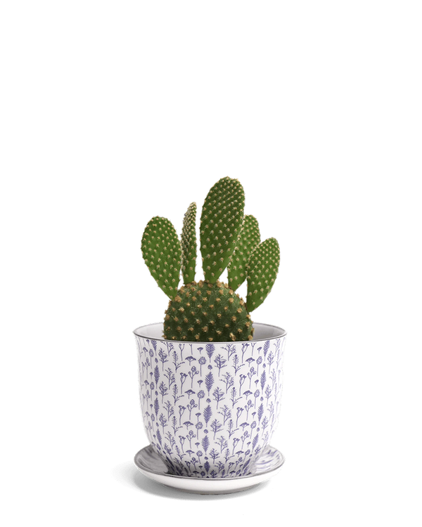 Liberte Small 3.25" Porcelain Plant Pot