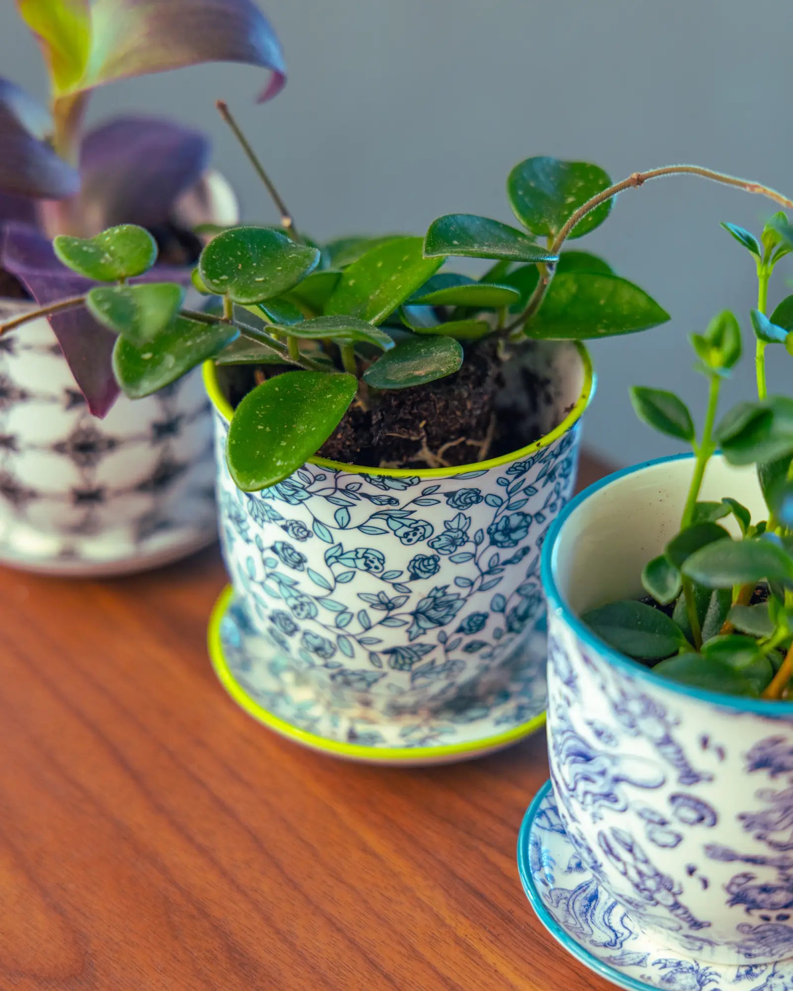 Chive Liberté small planters in green flowers, octopus, and black stars prints, each styled with a different houseplant.