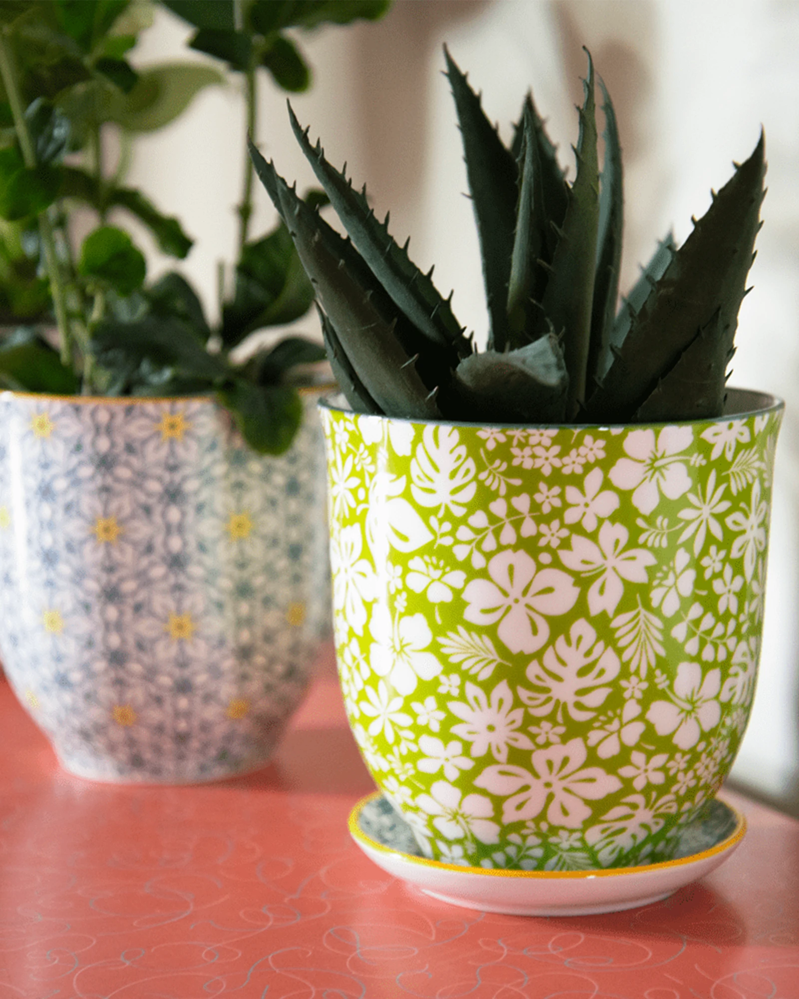 Two Chive Liberte porcelain pots styled with houseplants on a red table indoor.