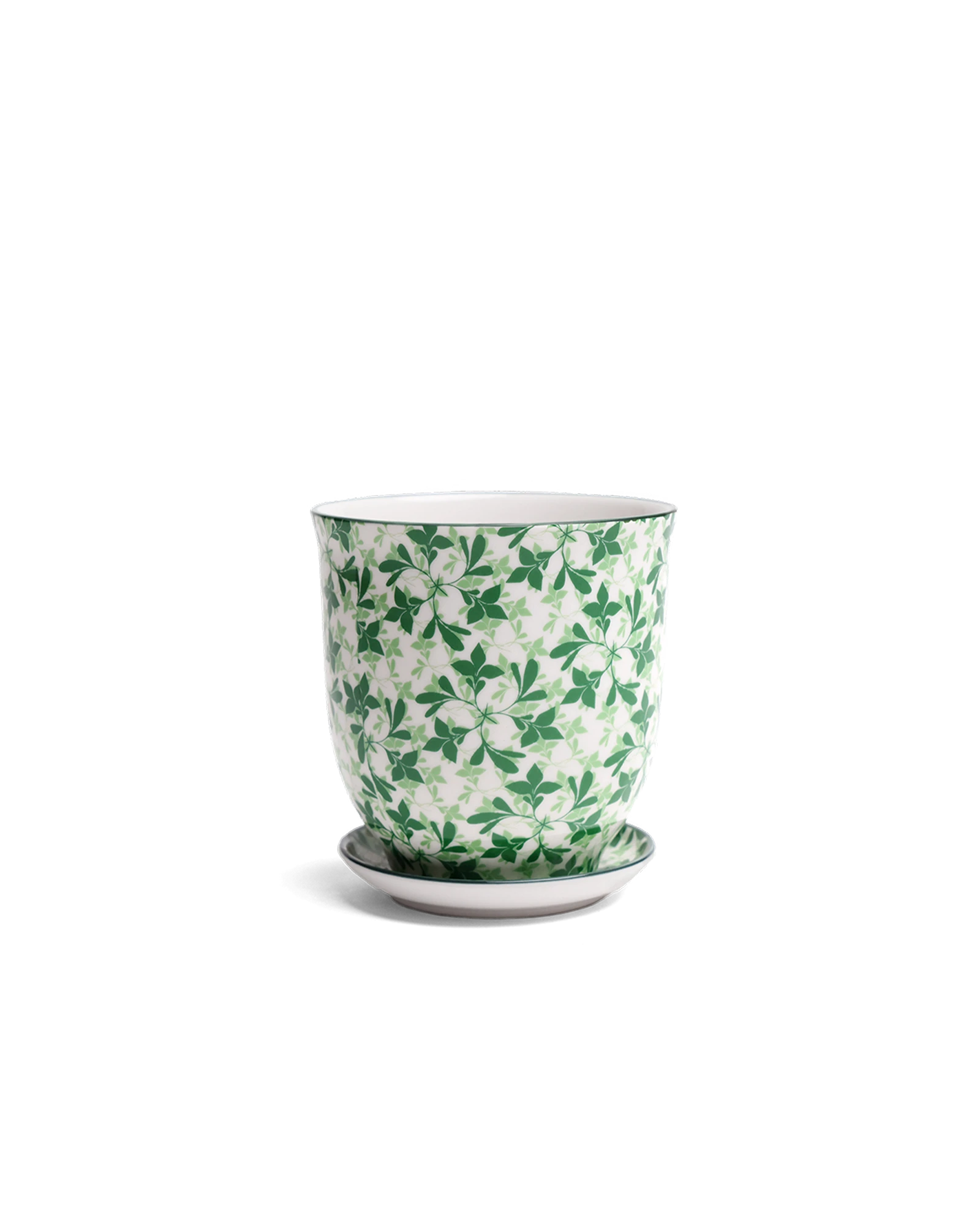 Chive Liberte medium green leaves 4 porcelain pot with drainage hole and detachable saucer.