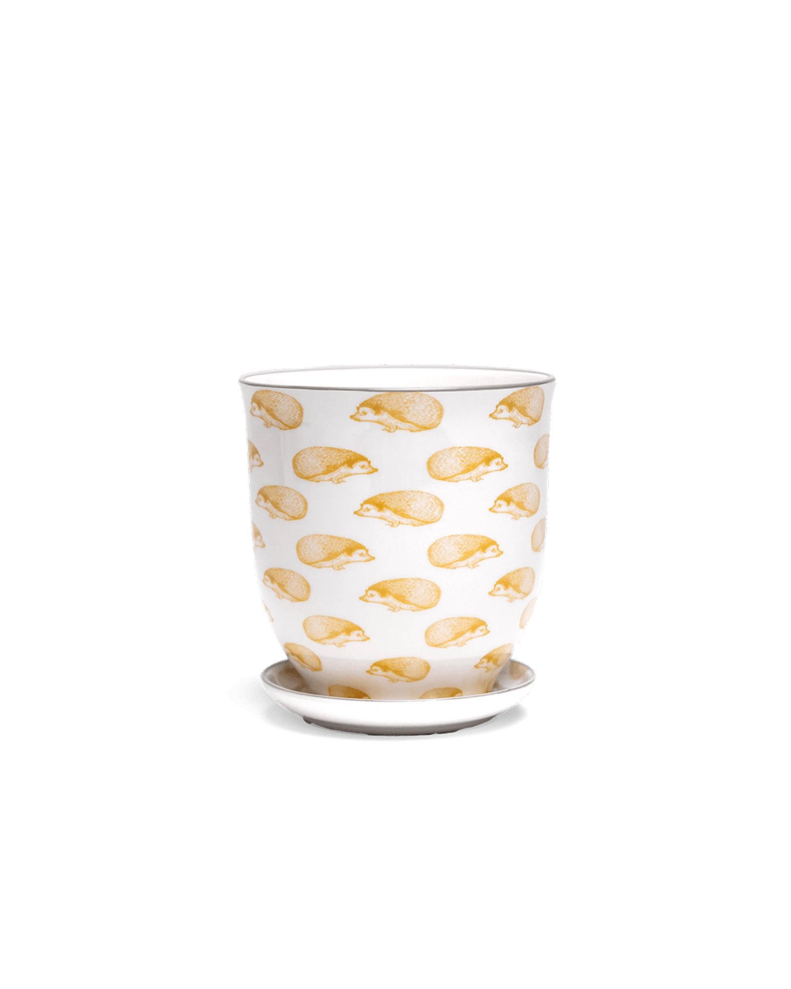 Chive Liberte medium hedgehog porcelain pot with drainage hole and detachable saucer.