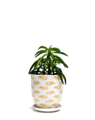 Chive Liberte small hedgehog porcelain pot with drainage and saucer styled with a plant.
