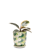 Chive Liberte medium monstera porcelain pot with drainage and saucer styled with a peperomia plant.