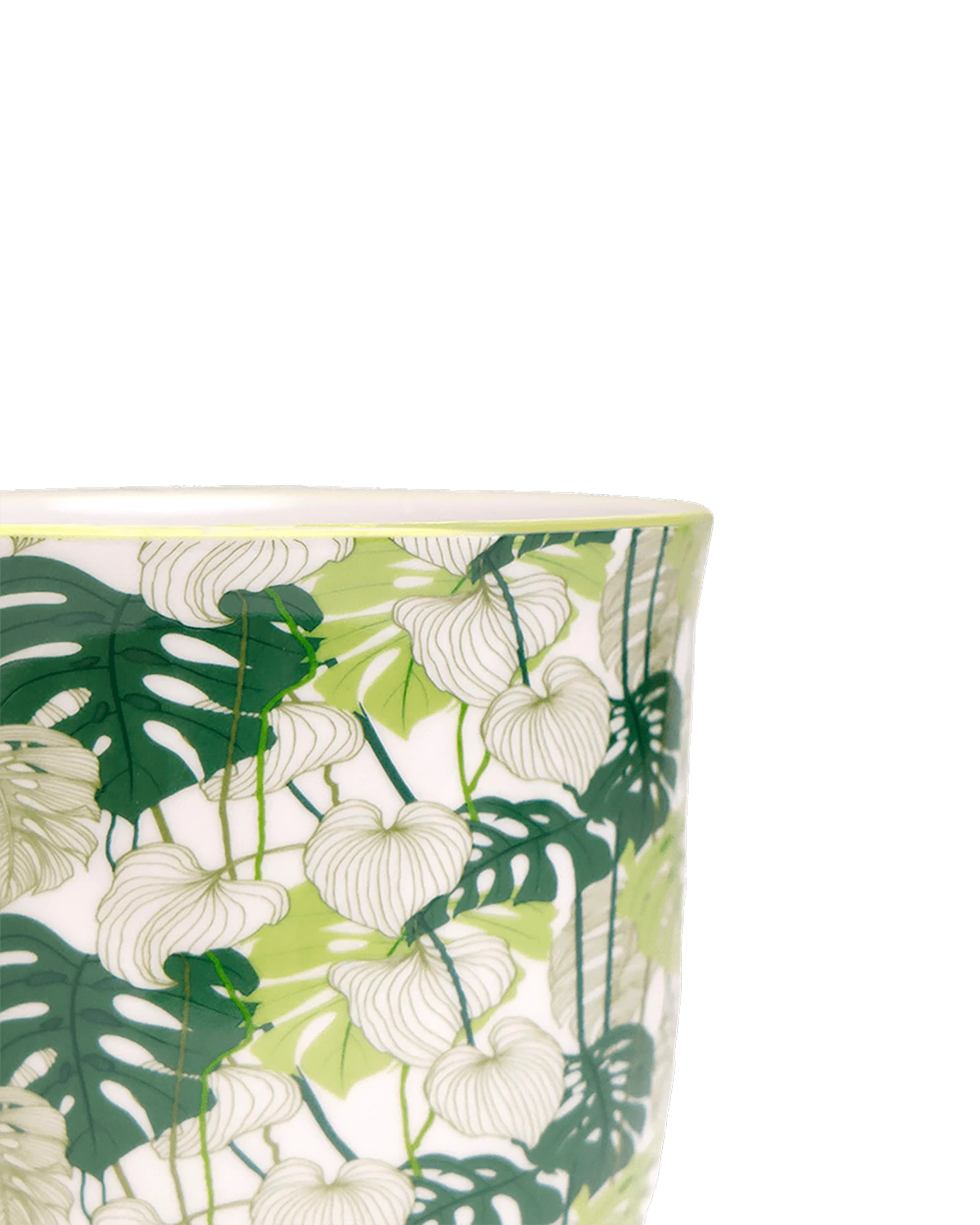 Close-up of the Chive Liberte medium monstera porcelain pot showing the pattern and glaze finish.