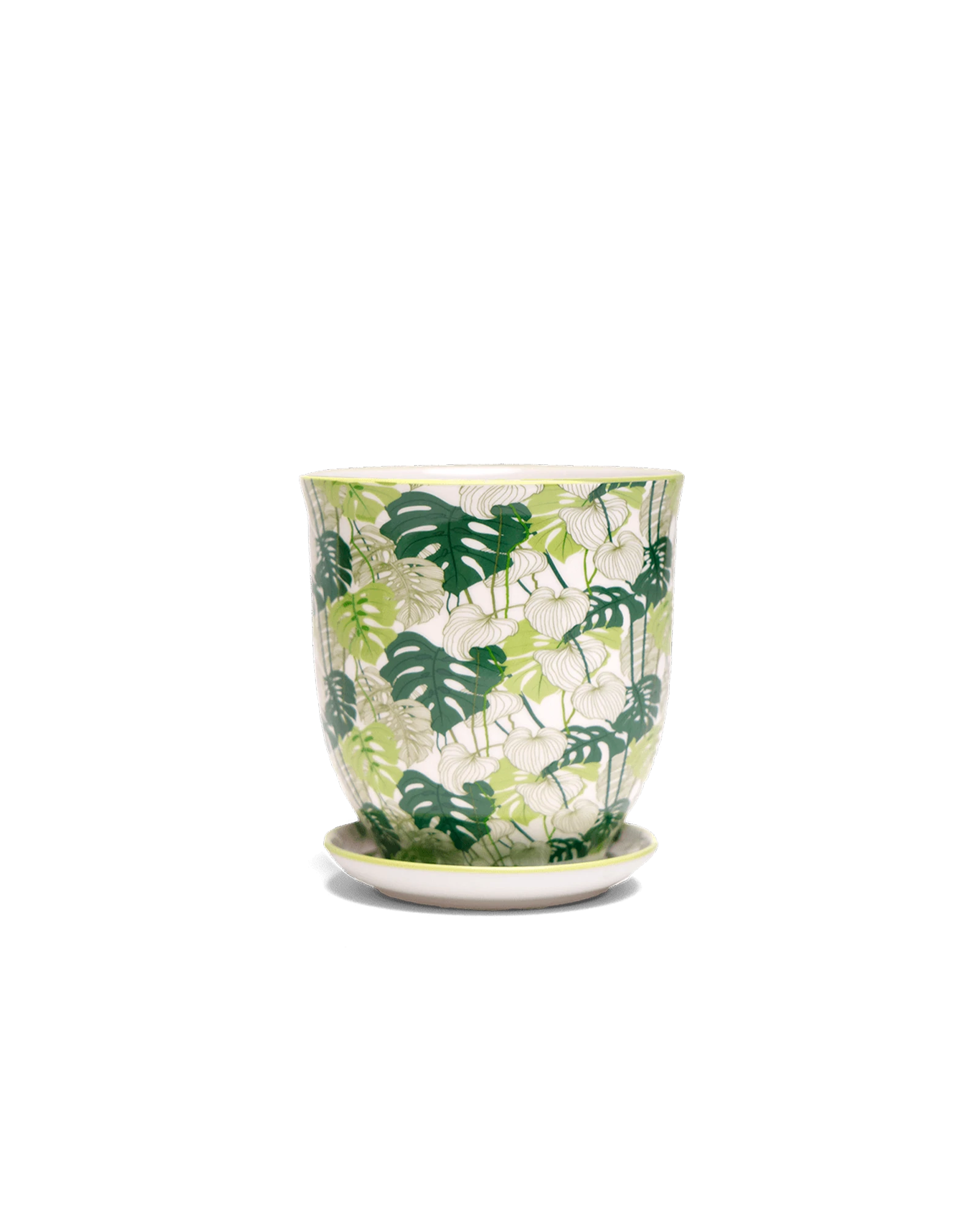 Chive Liberte small monstera porcelain pot with drainage hole and detachable saucer.