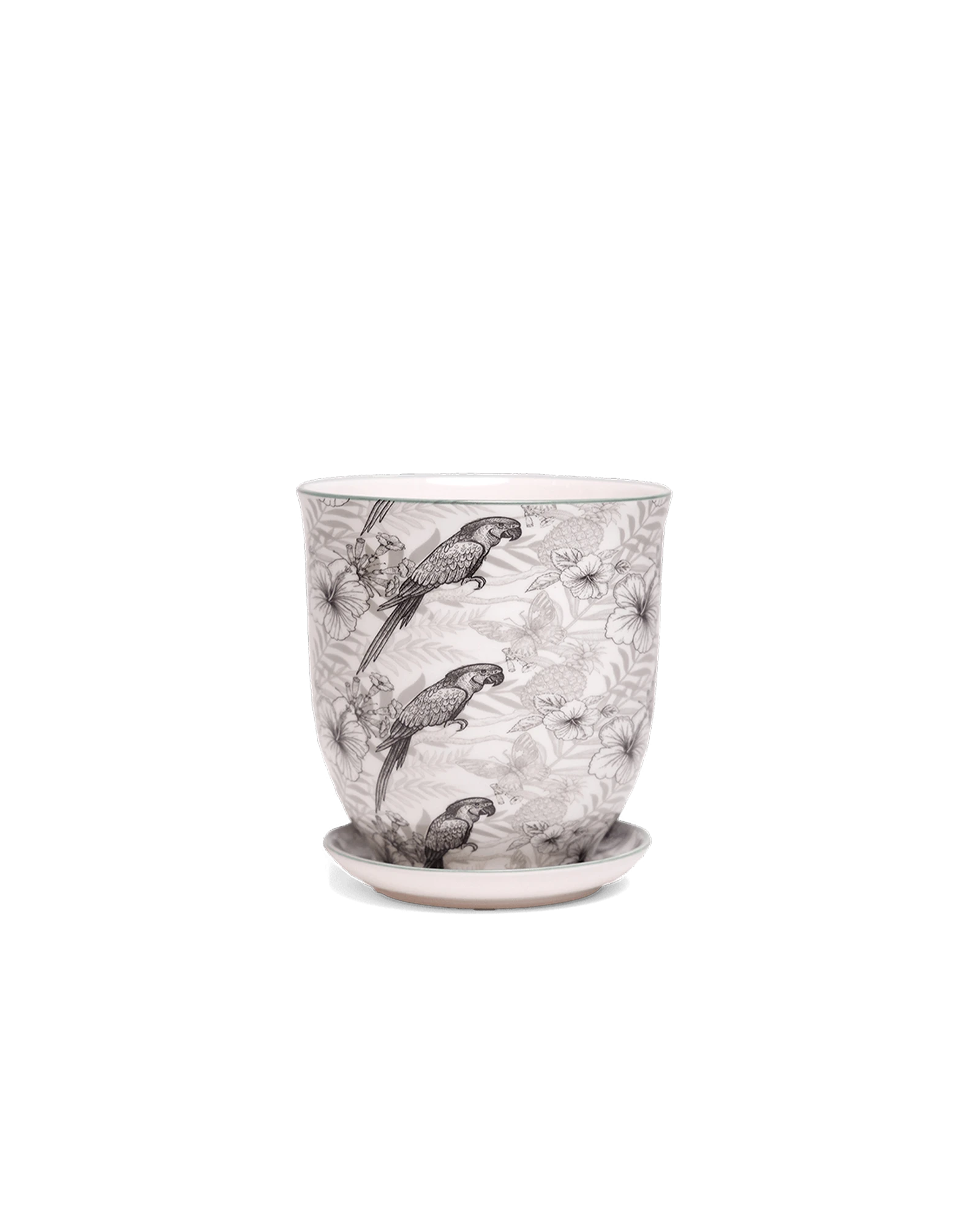 Chive Liberte small parrot porcelain pot with drainage hole and detachable saucer.