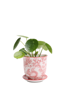 Chive Liberte medium red squirrels porcelain pot with drainage and saucer styled with a plant.