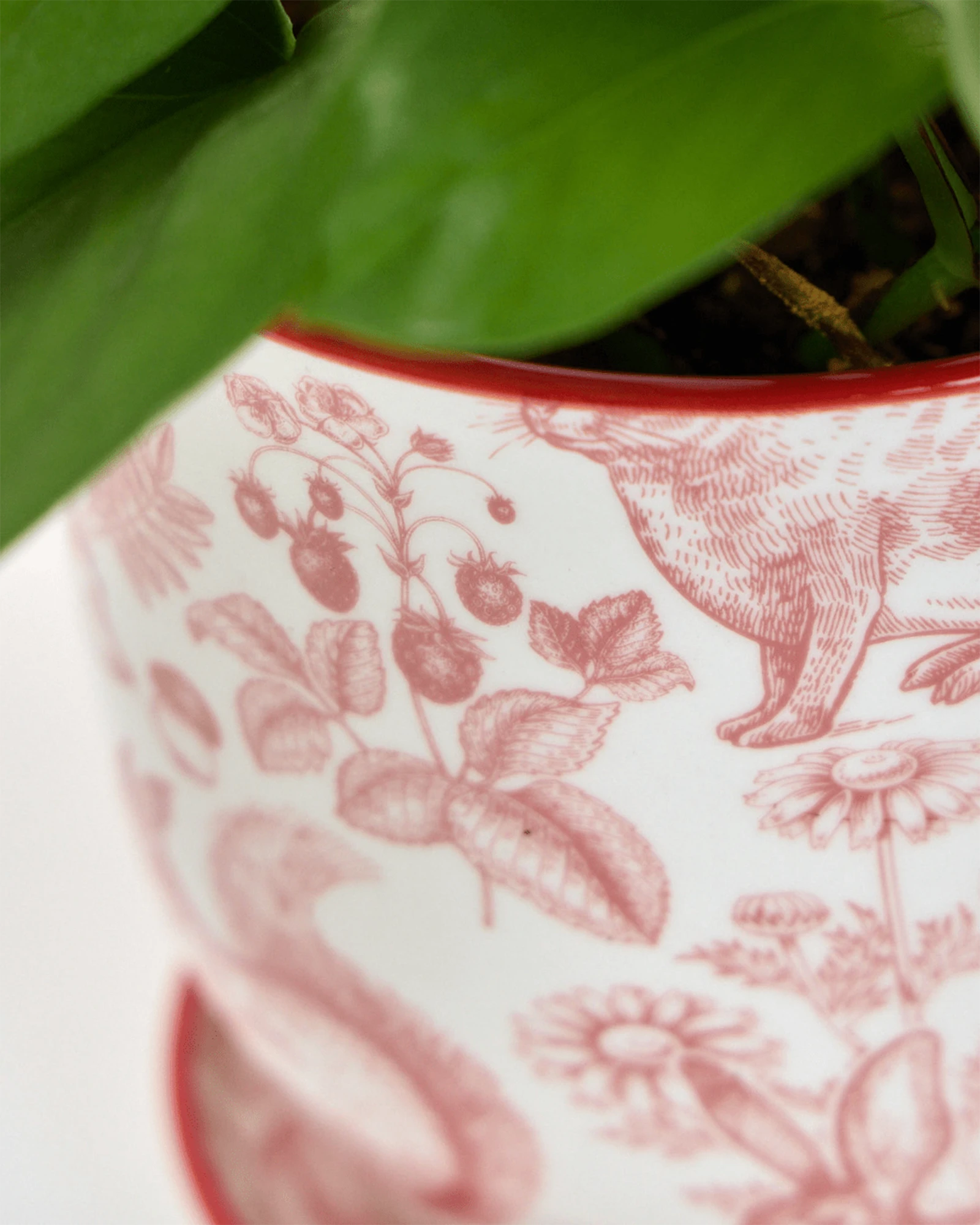 Close-up of the Chive Liberte small red squirrels porcelain pot showing the pattern and glaze finish, styled with a plant.