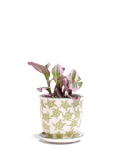 Chive Liberte medium turtles porcelain pot with drainage and saucer styled with a plant.