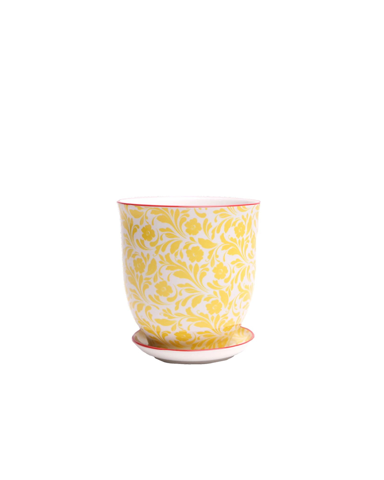 Chive Liberte small yellow flowers porcelain pot with drainage hole and detachable saucer.