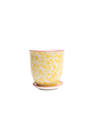 Chive Liberte small yellow flowers porcelain pot with drainage hole and detachable saucer.