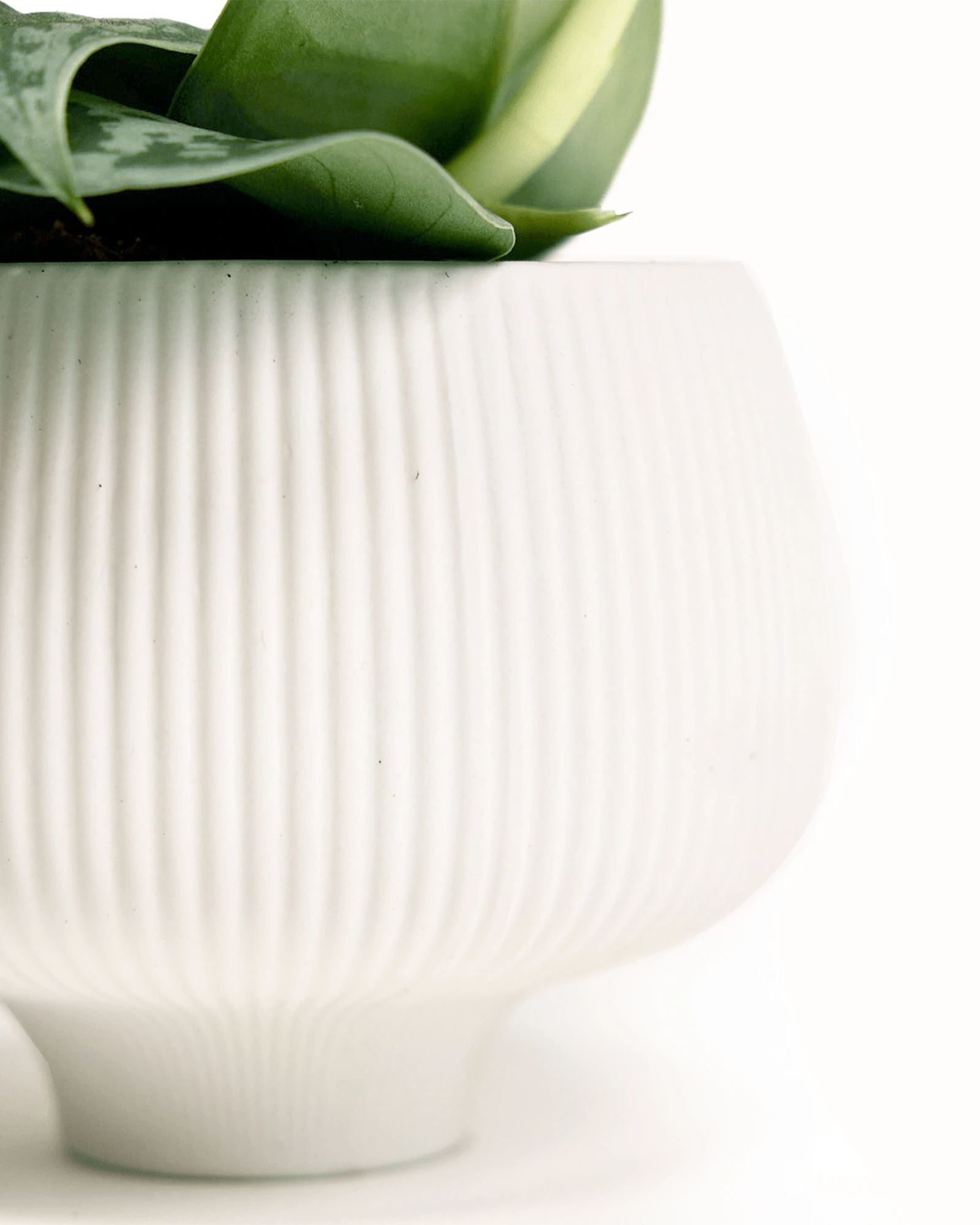 Close-up of the ribbed texture on a Chive Lilo white porcelain large plant pot.