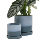 Two Chive Minute blue aqua ceramic pots with drainage and detachable saucers in size small and medium styled with a plant.