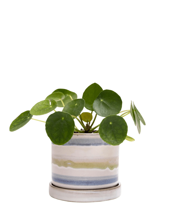 Minute Small Ceramic Pot with Drainage Hole and Saucer, Blue Green Layers