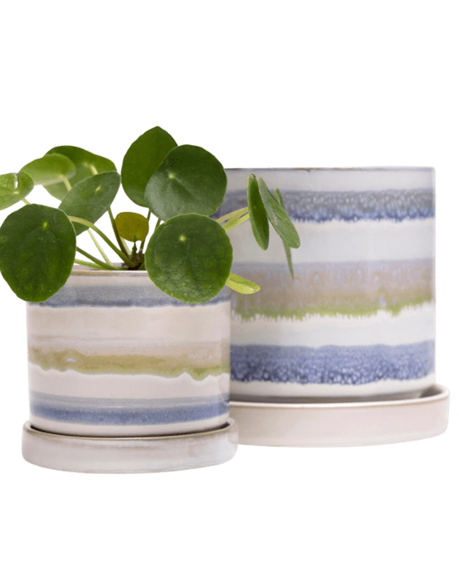 Two Chive Minute blue green layers ceramic pots with drainage and saucers in size small and medium styled with a pilea peperomioides.