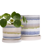Two Chive Minute blue green layers ceramic pots with drainage and saucers in size small and medium styled with a pilea peperomioides.