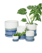 Chive Minute fully glazed large ceramic planter pots in color blue layers in multiple sizes styled with plants.
