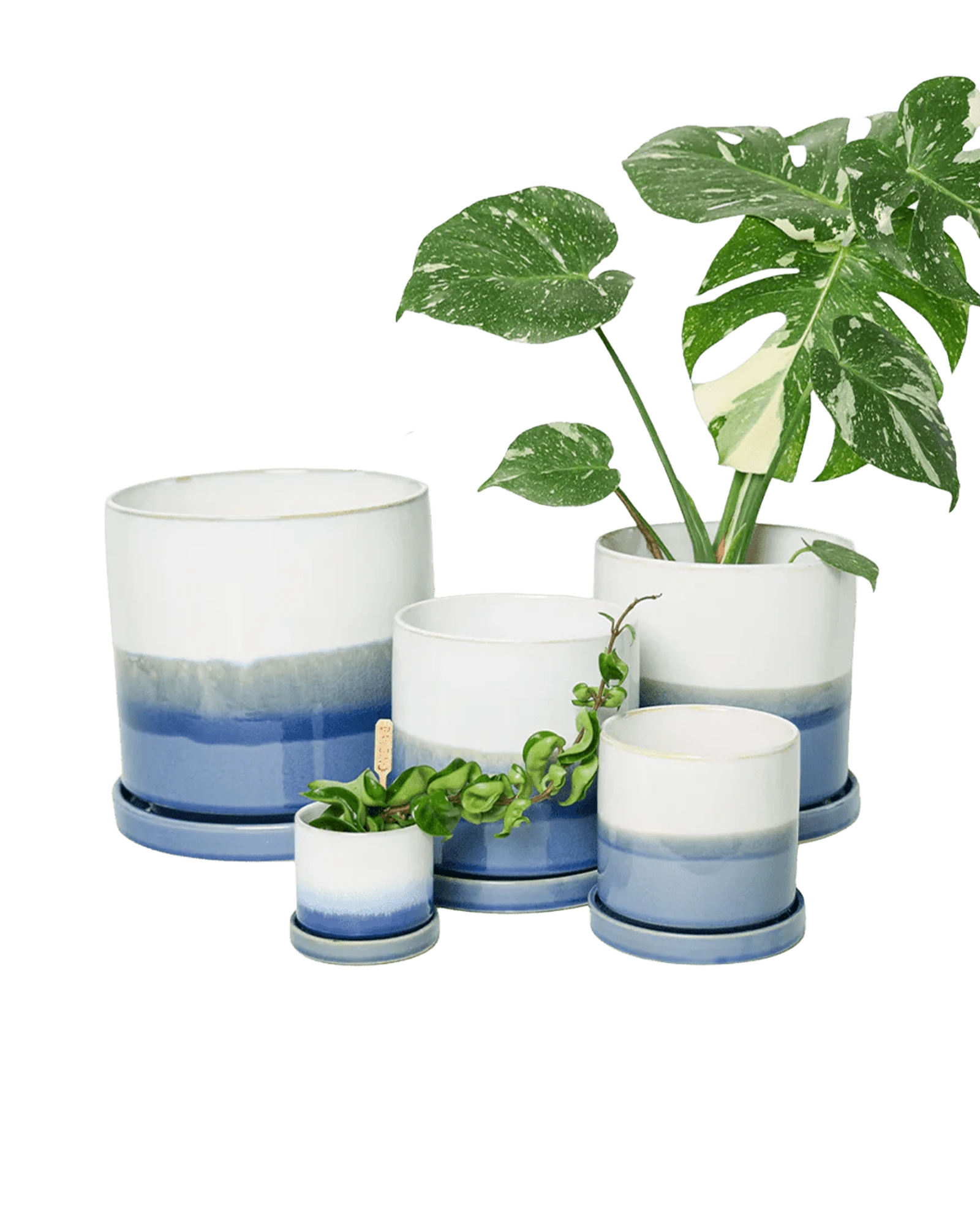 Chive Minute fully glazed large ceramic planter pots in color blue layers in multiple sizes styled with plants.