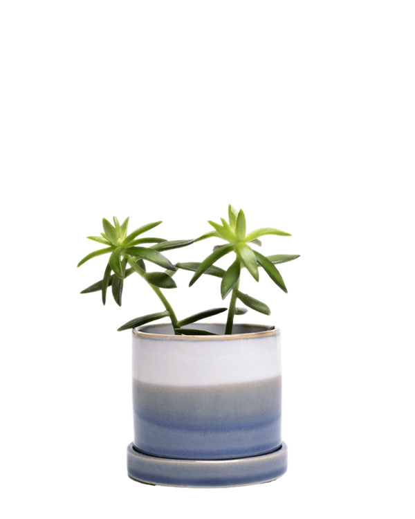 Minute Large Ceramic Pot with Drainage Hole and Saucer, Blue Layers